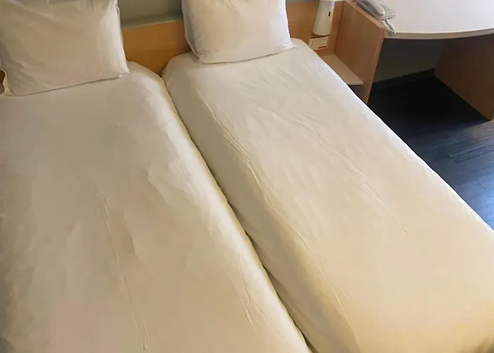 Ibis Centre Hotel 3*